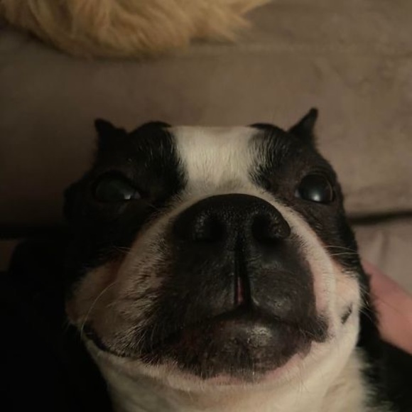 Meet your Posher, Korilynn - Picture 1 of 1